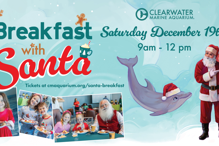 Breakfast with Santa