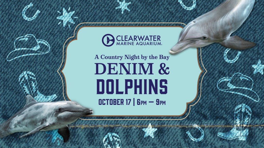Denim & Dolphins Event
